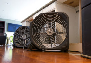Drying & Dehumidification Services in Frisco